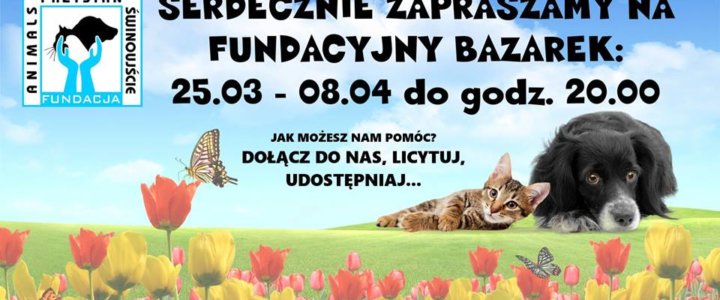 Fundacja Animals Przystań Świnoujście