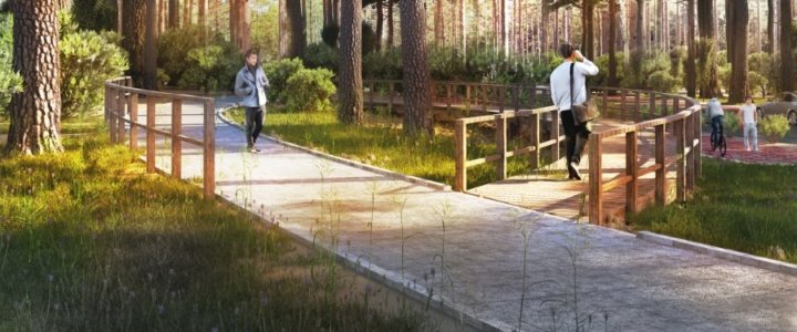 5 mln złotych dofinansowania: w Świnoujściu powstanie promenada leśna.