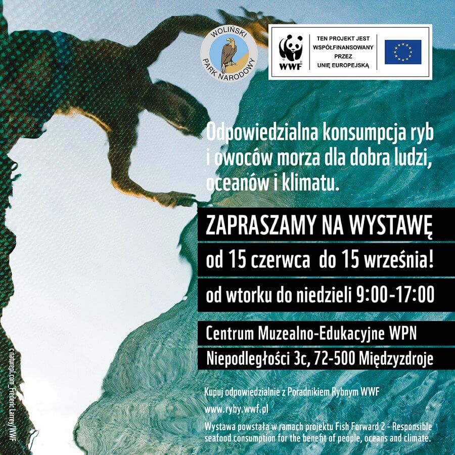 Światowy Dzień Oceanów - wystawa WPN i WWF Polska.