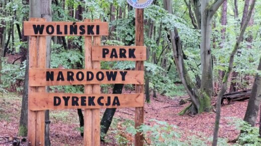 Woliński Park Narodowy wprowadza opłaty za wstęp do Parku.