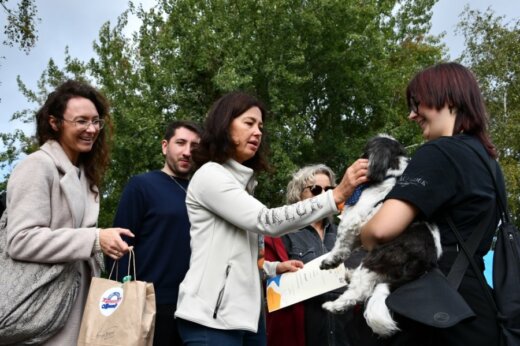 Świnoujska wystawa pupili. Fotogaleria