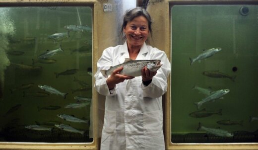 Zachodniopomorskie. Wydział Nauk o Żywności i Rybactwa świętuje swoje 70-lecie.