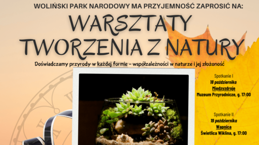 Warsztaty tworzenia z natury-1