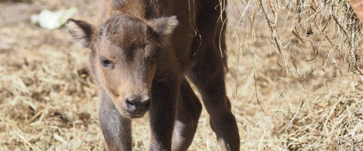 P6171005-scaled-e1665082298161