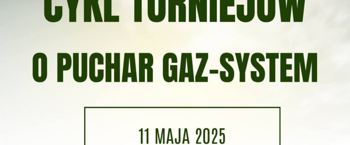 Puchar Gaz System-1