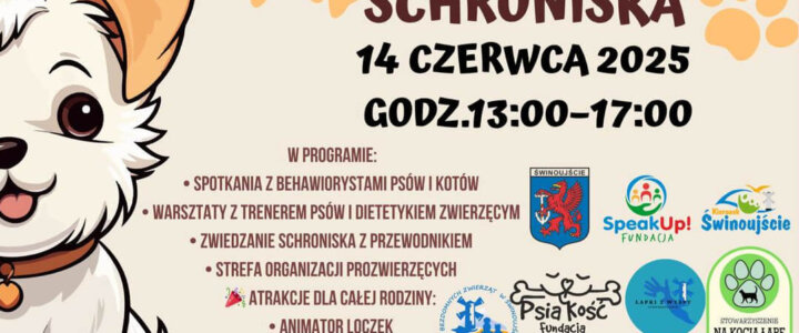 Dzień Otwarty w Schronisku-1