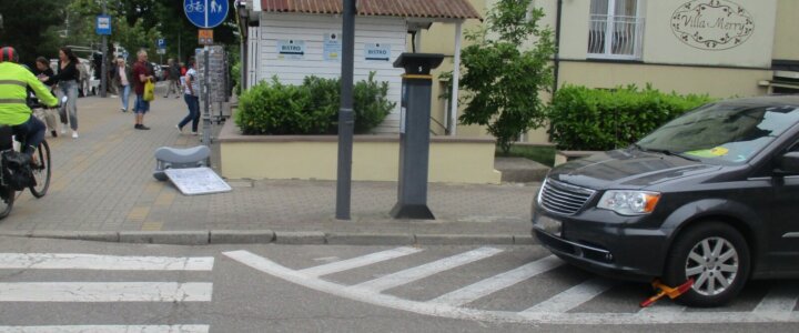 IMG_1646 IMG_1646