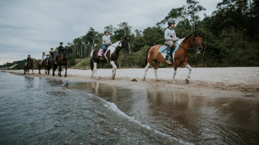 konno brzegiem morza