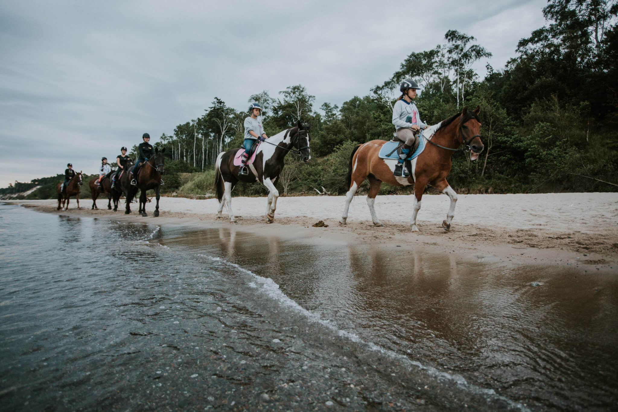 konno brzegiem morza