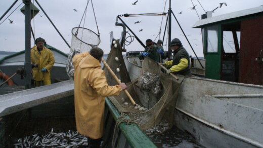 Muzeum Rybołówstwa Morskiego-wernisaż