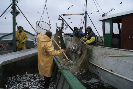Muzeum Rybołówstwa Morskiego-wernisaż