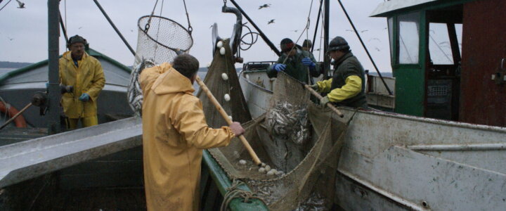 Muzeum Rybołówstwa Morskiego-wernisaż