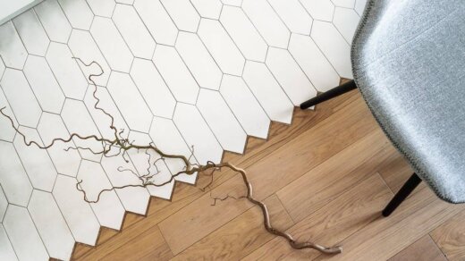 pexels-sasha-pshenkov-92810748-11043324_wp