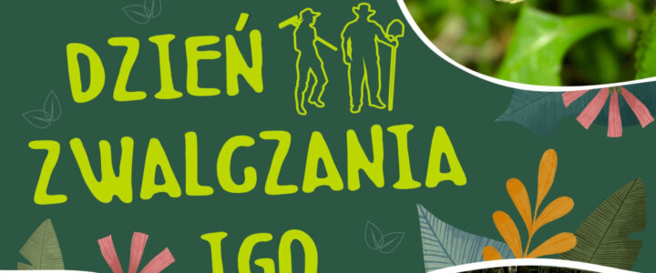 DZIGO plakat pełny-1