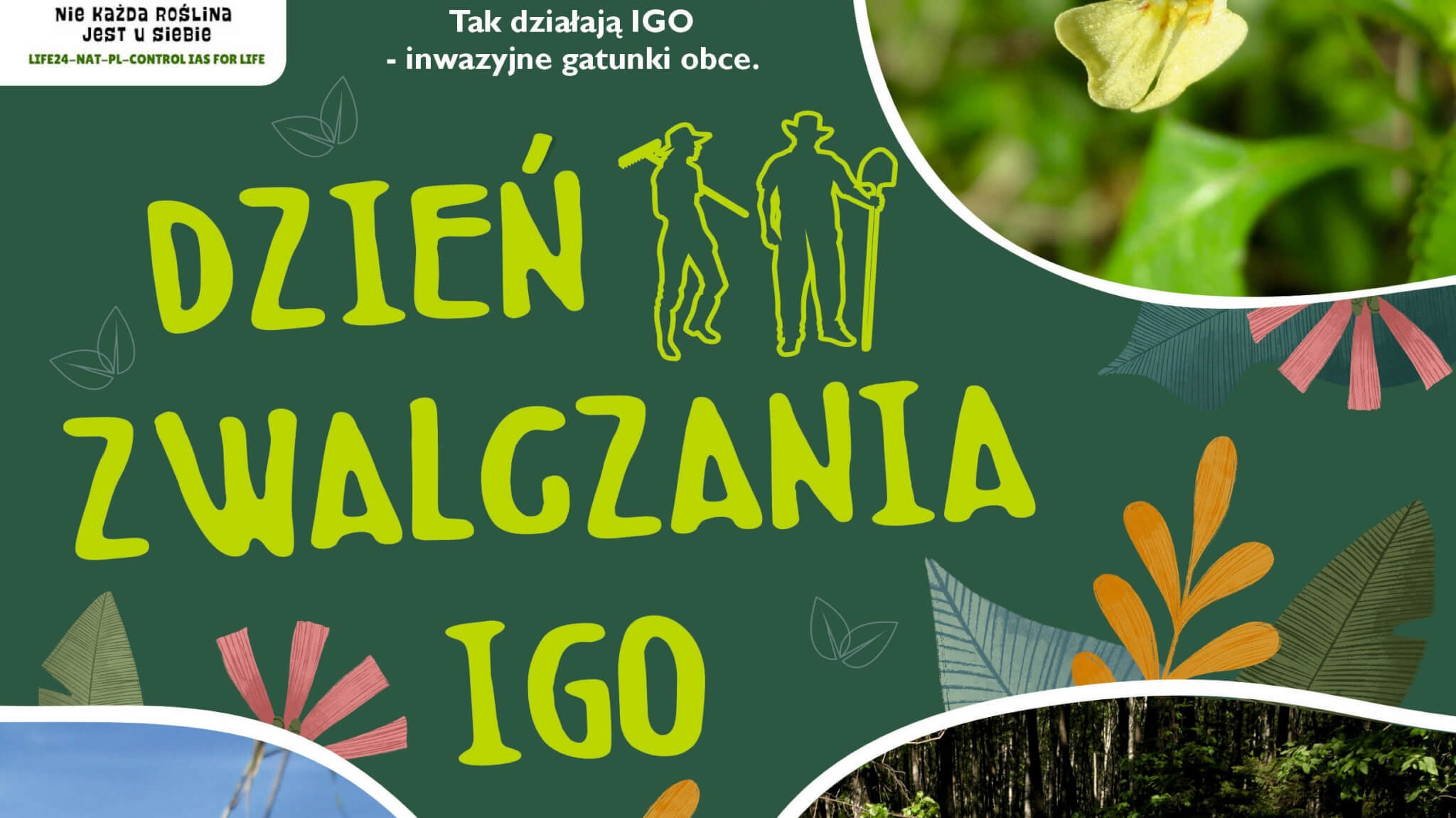 DZIGO plakat pełny-1