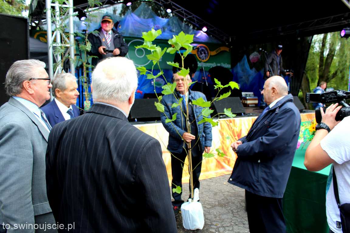 Dożynki na Placu Mickiewicza w Świnoujściu.