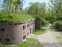 Fort Gerharda
