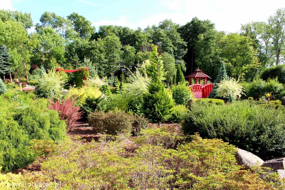 Ogród Japoński w Gryficach