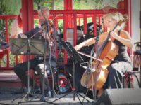 „Gryfickie Lato Muzyczne – niedzielne koncerty w Ogrodzie Japońskim”