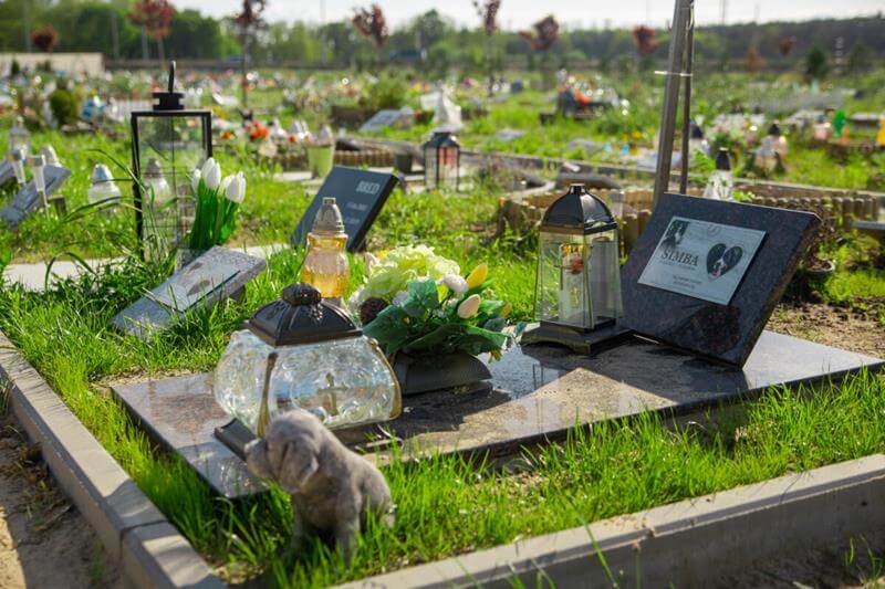 Świnoujście. „Tęczowa Kraina” poprowadzi cmentarz dla zwierząt.