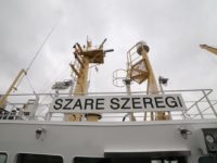 Jeszcze rok temu wszystko wskazywało na to, że statek Szare Szeregi