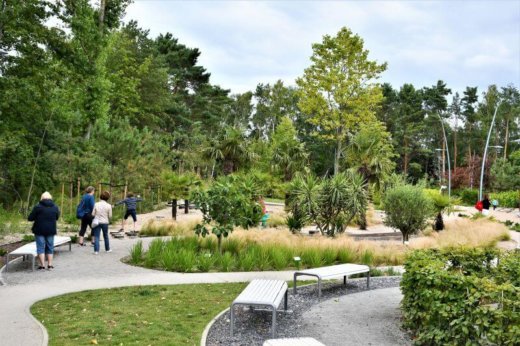d0336eeb248f95af124cc87cd97c35cd Świnoujście. 75 gatunków roślin w Ogrodzie Sensorycznym na promenadzie.