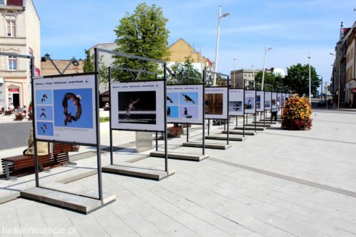 plac wolności wystawa_09 plac wolności wystawa_09
