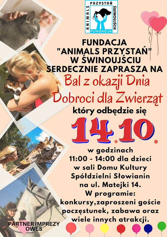 Dzień Dobroci dla Zwierząt