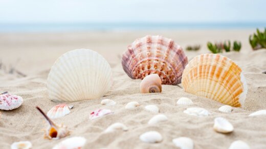 93 gramy piasku wynosi średnio każdy plażowicz po dniu nad morzem