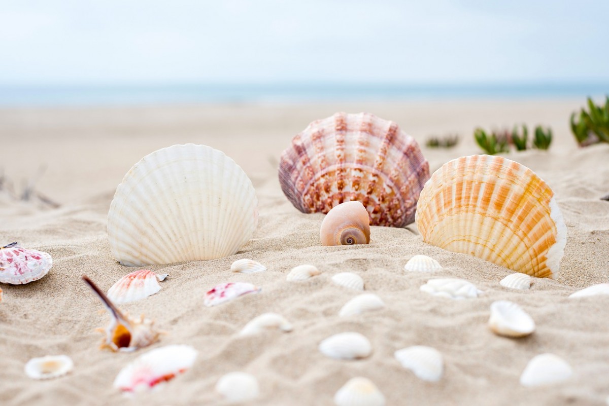 93 gramy piasku wynosi średnio każdy plażowicz po dniu nad morzem