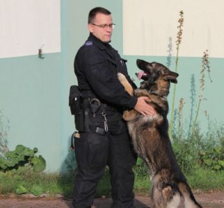 Policyjny pies patrolowo-tropiący